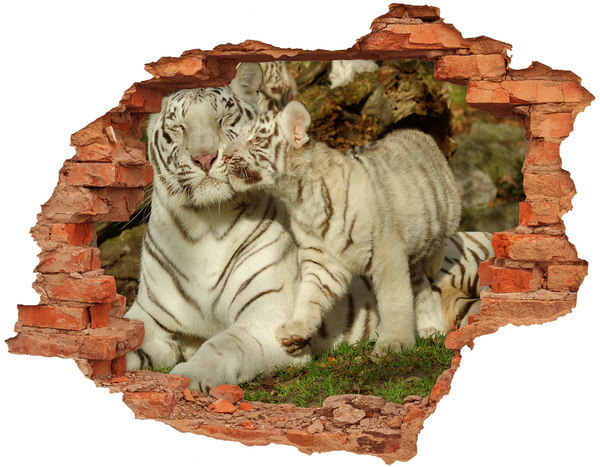 Hole in the wall sticker White tigers in nature