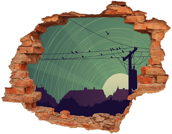 Hole in the wall decal Birds city