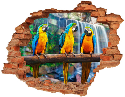 3D wall hole wallpaper Paradise parrots at the waterfall