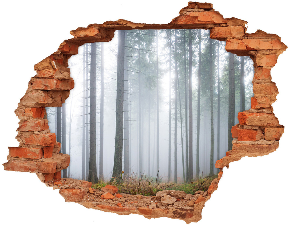 3D wall hole Fog in the forest