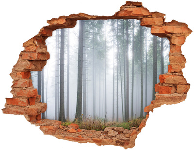 3D wall hole Misty forest