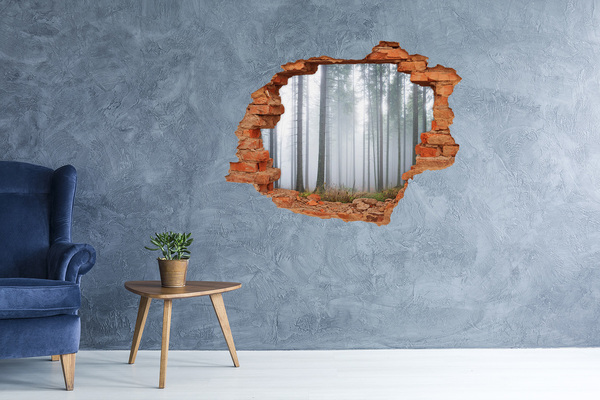 3D wall hole Misty forest