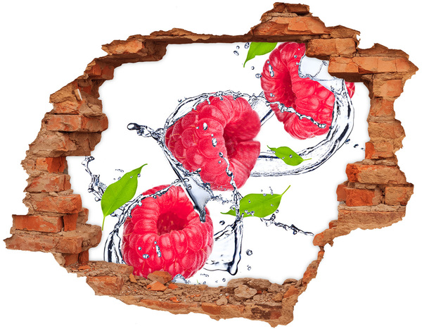 3D wall hole Raspberry Waterfall