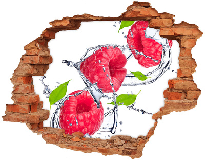 3D wall hole Raspberry Waterfall