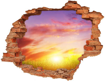 3D wall hole Sunset over the meadow