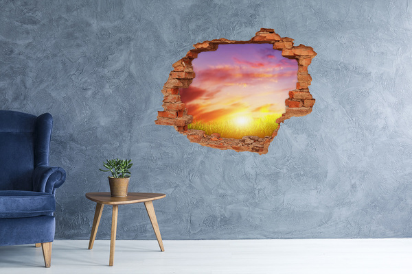 3D wall hole Sunset over the meadow