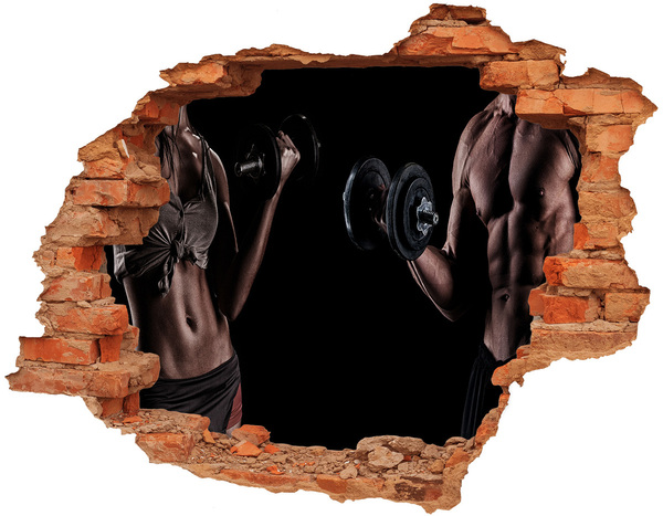 Hole in the wall decal Muscle structure