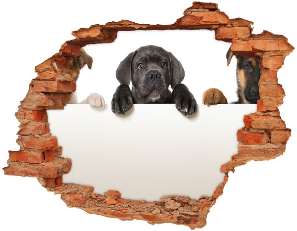 Hole in the wall sticker Sweet puppy from behind the wall
