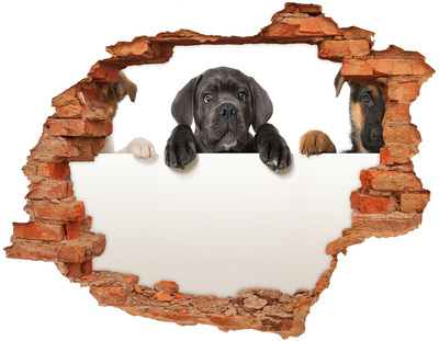 Hole in the wall sticker Three puppies