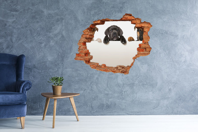 Hole in the wall sticker Three puppies