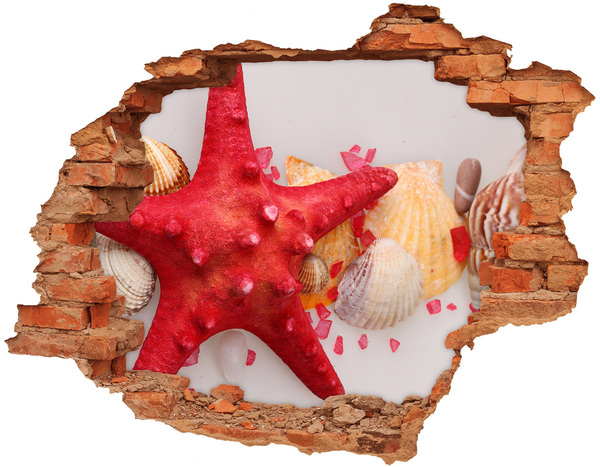 Hole wall sticker Underwater world with shells