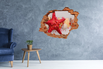 Hole wall sticker Underwater world with shells