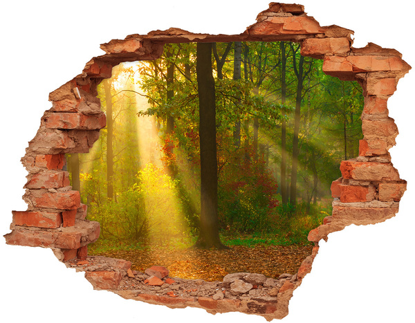 Hole in the wall sticker Autumn forest scenery