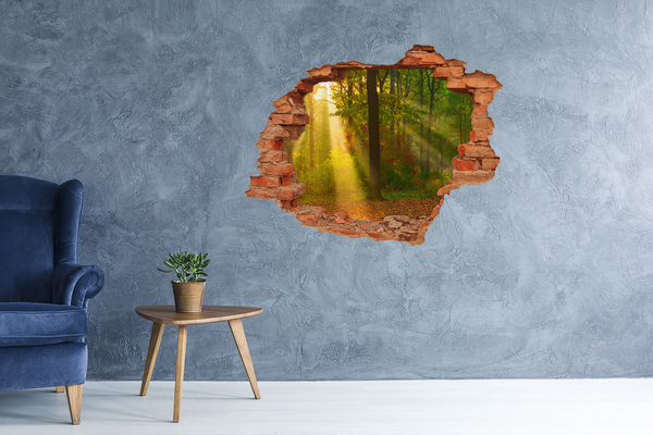 Hole in the wall sticker Autumn forest scenery