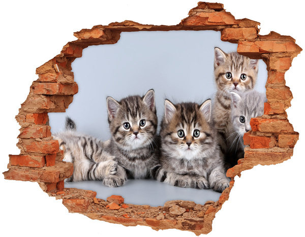 Hole wall sticker Kittens in a hole in the wall