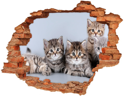 Hole wall sticker Kittens in a hole in the wall