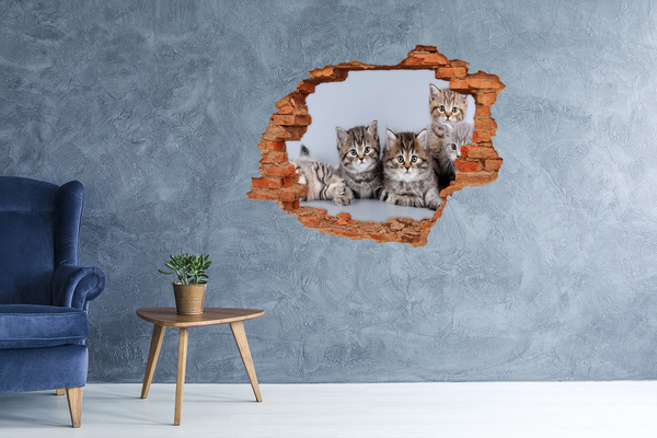 Hole wall sticker Kittens in a hole in the wall