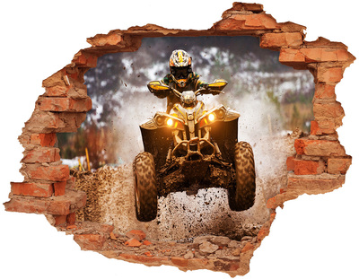 Hole in the wall decal Rally quad in action