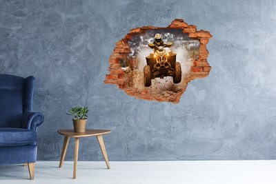 Hole in the wall decal Quad