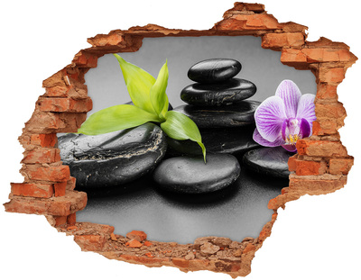 3D wall hole A relaxing view with stones and plants