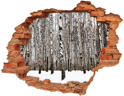 Hole wall sticker Winter birch forest