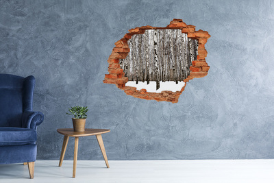 Hole wall sticker Winter birch forest