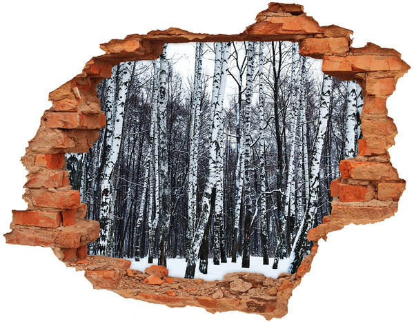 3D wall hole Winter birch forest