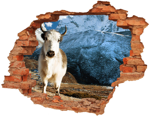 Hole wall sticker Mountain Buffalo in a Hole in the Wall