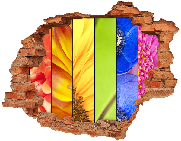 Hole wall sticker Colorful flowers