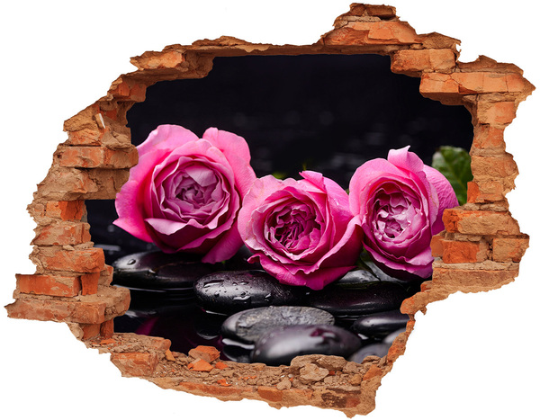 Hole in the wall decal Pink roses