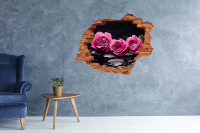 Hole in the wall decal Pink roses