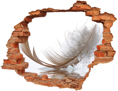 Hole in the wall decal Delicate feathers in the water