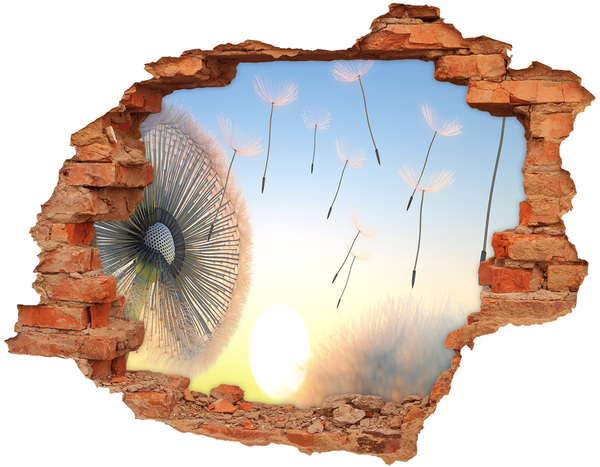 Hole in the wall decal Dandelions against the sunset background