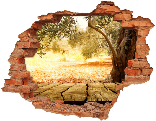 3D wall hole wallpaper Olive tree