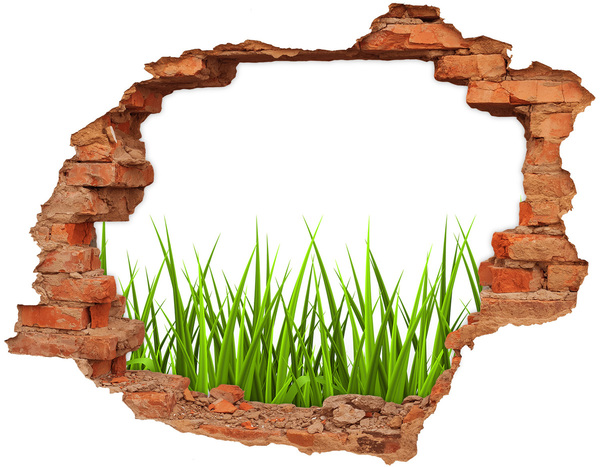 Hole wall sticker Grass