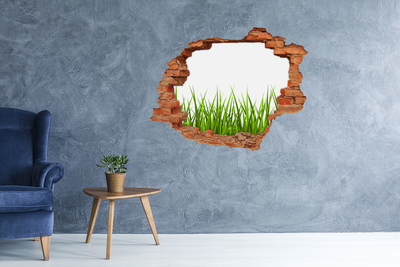 Hole wall sticker A green meadow behind the wall