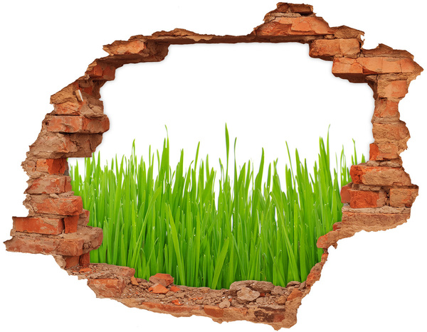 Hole wall sticker A green meadow behind the wall