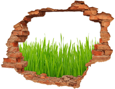 Hole wall sticker A green meadow behind the wall