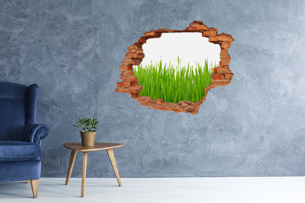 Hole wall sticker A green meadow behind the wall