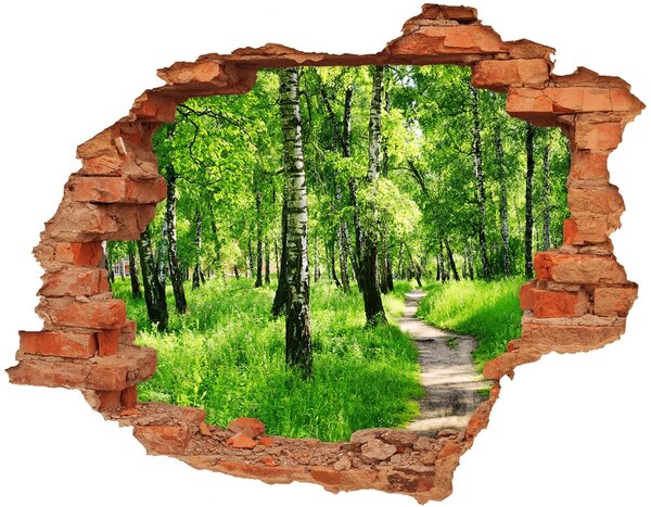 Hole in the wall sticker Green forest in the sunlight