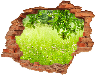 Hole in the wall sticker A green meadow behind the wall