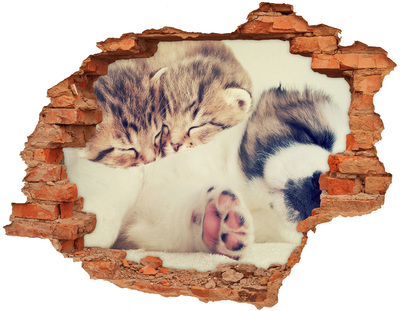 3D wall hole wallpaper Two cats and a dog