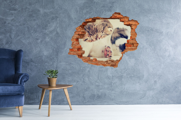 3D wall hole wallpaper Two cats and a dog