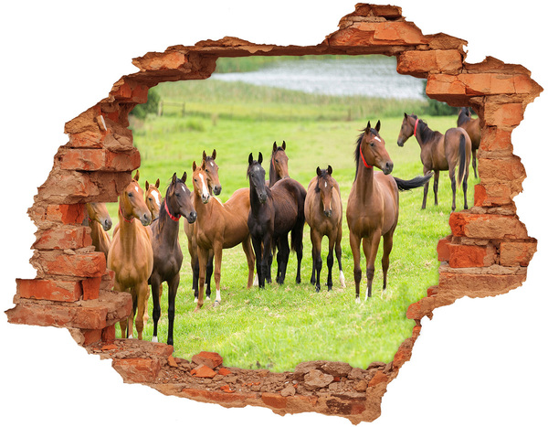 Hole in the wall sticker A herd of horses in the pasture