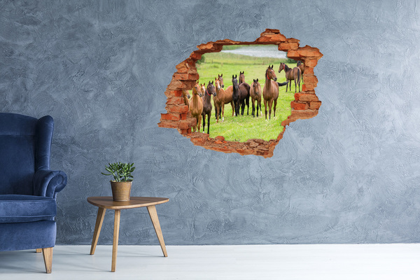 Hole in the wall sticker A herd of horses in the pasture