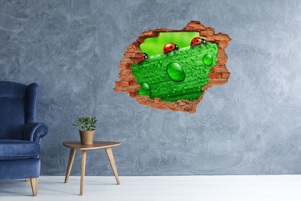 3D wall hole wallpaper A drop of dew on a leaf