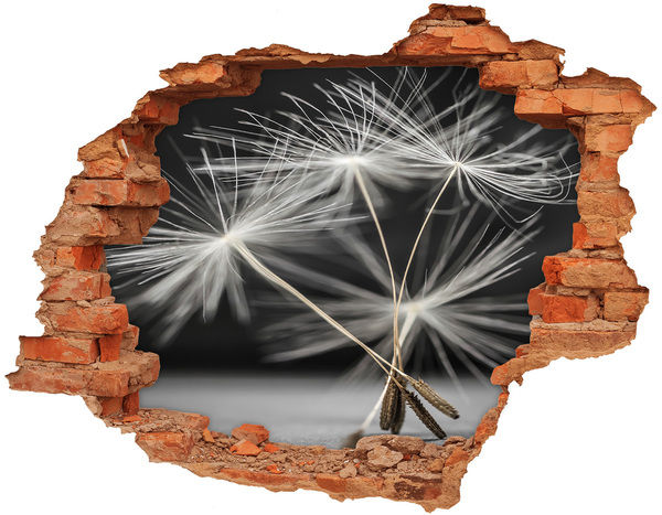 3D wall hole Dandelion flowers in concrete