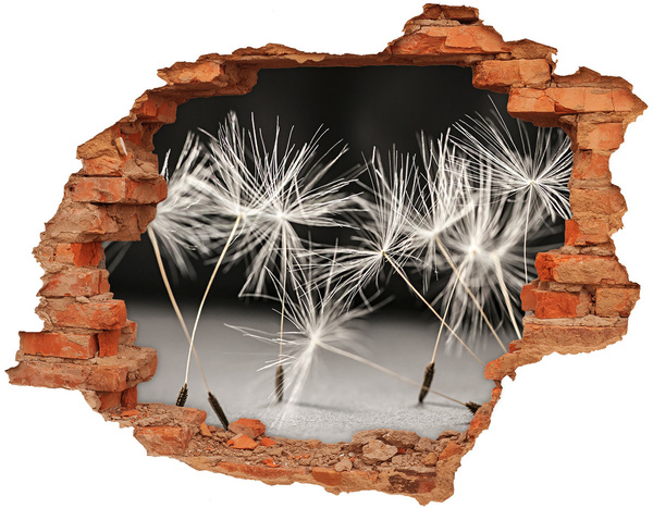 Hole wall sticker Dandelion seeds