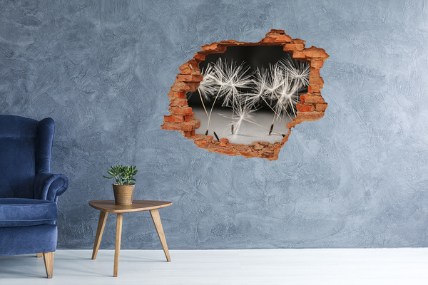 Hole wall sticker Dandelion Dream