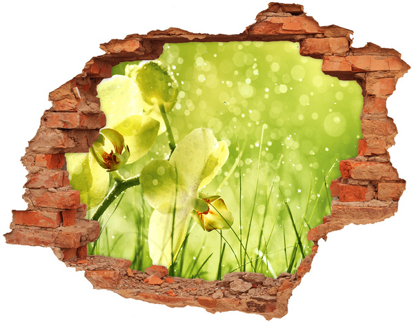 Hole wall sticker A floral oasis in the greenery